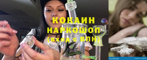 дживик Кинешма