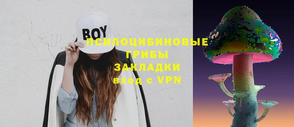 дживик Кинешма