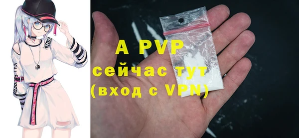 дживик Кинешма