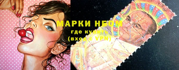 дживик Кинешма