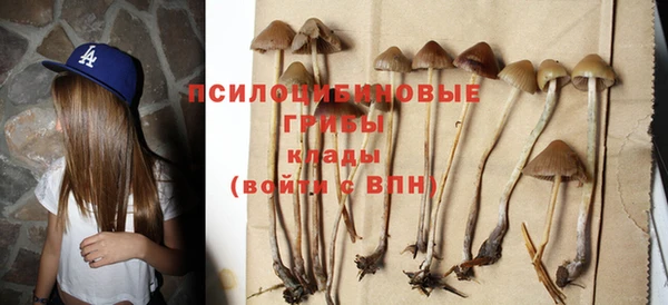 первитин Киренск