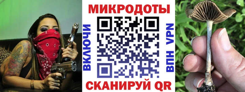 Купить  Находка  Псилоцибиновые грибы Psilocybine cubensis 